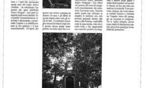2008_Pagina_07