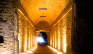 21012016-ingresso luce