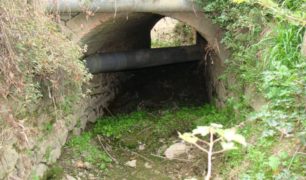 DSC01046