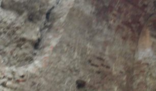 DSCN0139