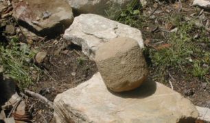 DSCN0156