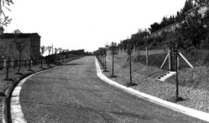 Nuovo V.le Buozzi 1931-35