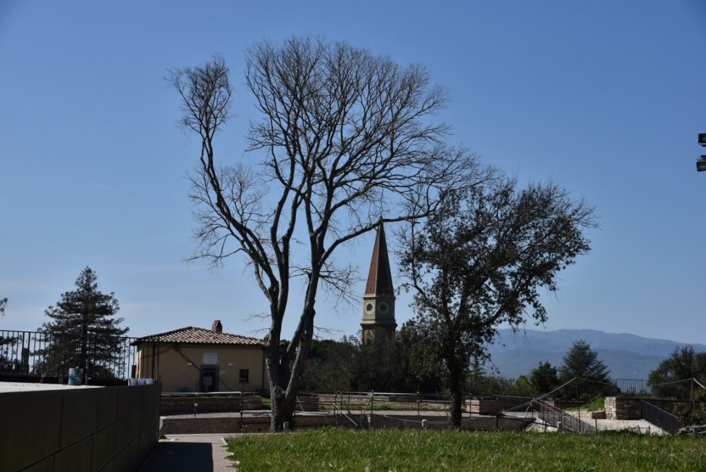 Spina Casina Fossombroni
