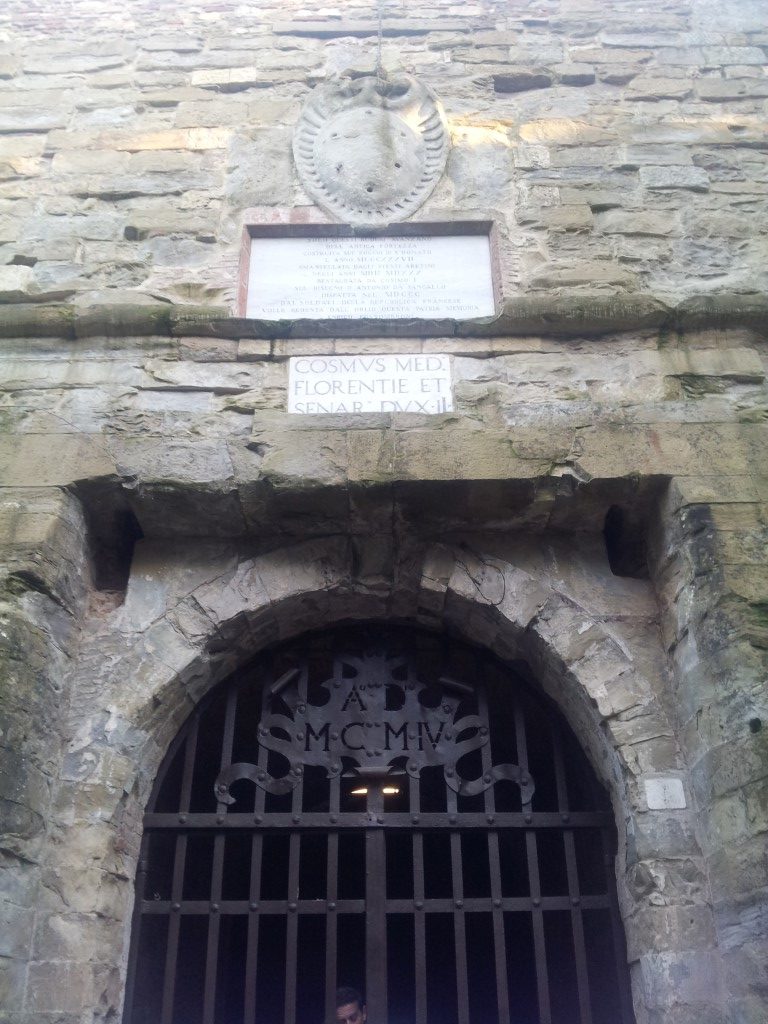 stamma ingrasso