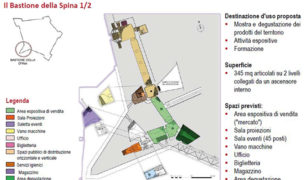2_spina1