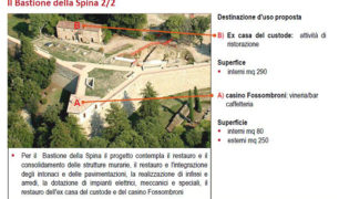 2_spina2