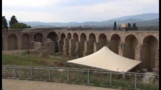 Fortezza-di-Arezzo-aperta-agli-animali